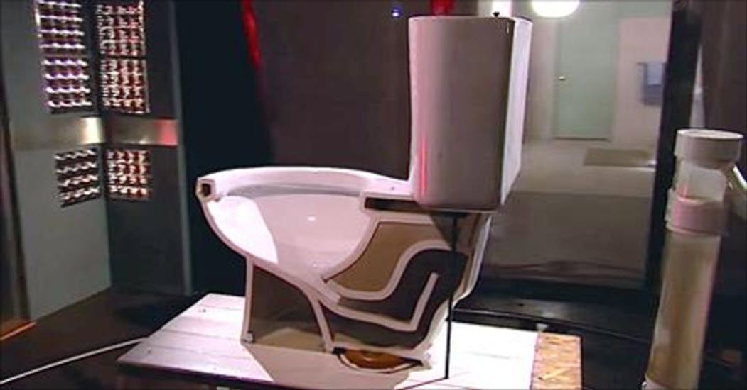 After Watching This Video I Guarantee You Will Never Leave The Toilet